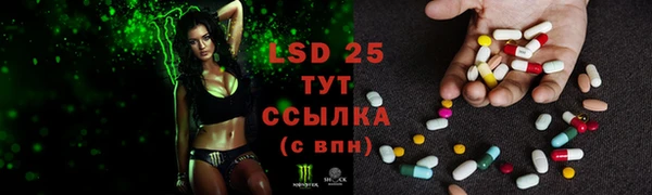 стафф Кулебаки