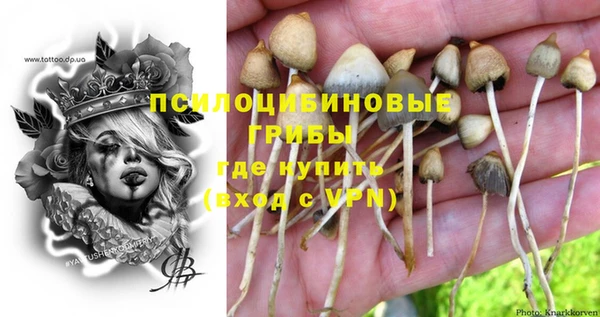 ALPHA PVP Куйбышев