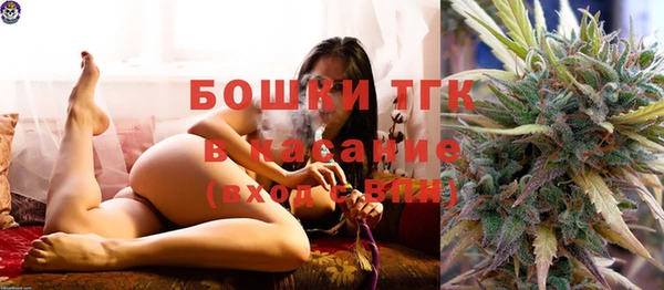 стафф Кулебаки