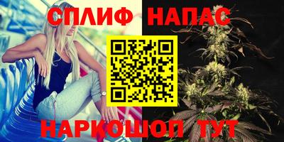 PSILOCYBIN Заводоуковск
