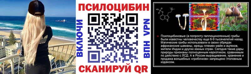 где купить наркоту  блэк спрут вход  Галлюциногенные грибы Cubensis  Павловский Посад 